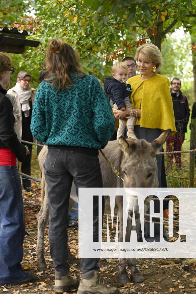 Queen Mathilde Visits Winners Of the 2026 Queen Mathilde Prize GREZ-DOICEAU, BELGIUM - OCTOBER 08: Queen Mathilde of Belgium pictured visiting two organizations that won the 2026 Queen Mathilde Prize : Vzw Alba, on October 08, 2026 in Grez-Doiceau, Belgium, 08 10 2026 Grez-Doiceau Belgium