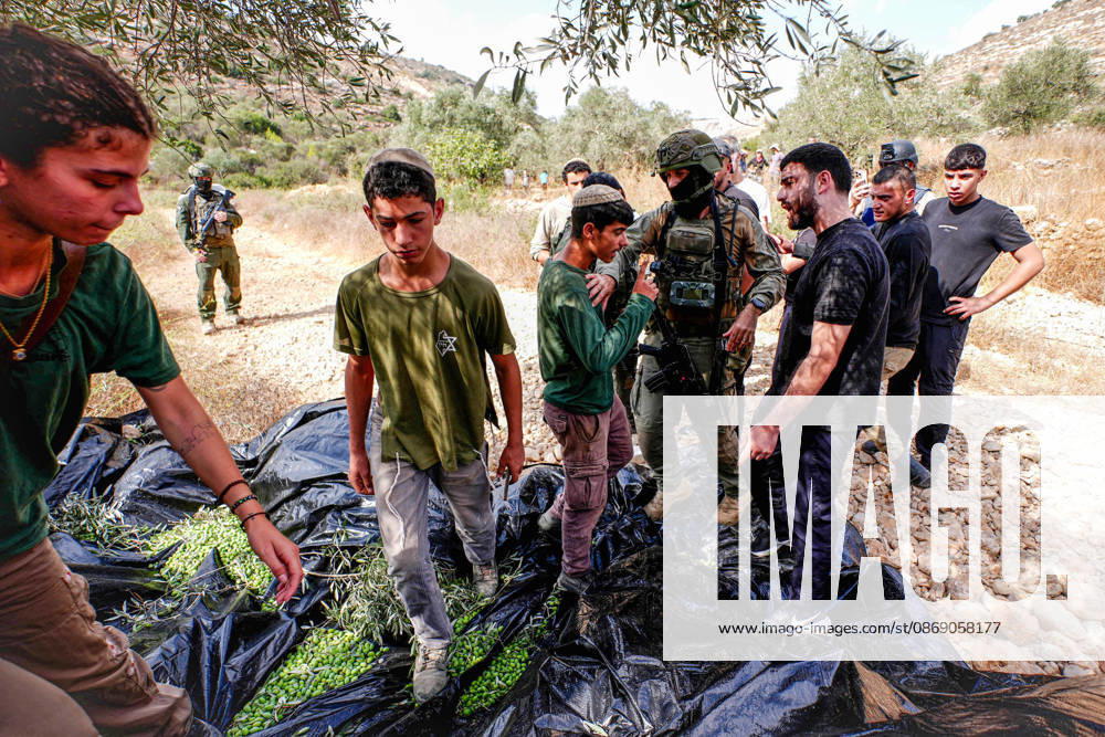 Clashes erupt between Israeli settlers and Palestinian farmers in West Bank RAMALLAH, WEST BANK - OCTOBER 9: Clashes break out between Israeli settlers, accompanied by Israeli soldiers, and Palestinian farmers harvesting olives in the town of Deir Ibzi, near Ramallah in West Bank, on October 9, 2026. The incident reportedly involved damage to olive crops and provocative actions by the settlers. Issam Rimawi Anadolu West Bank Palestine. Editorial use only. Please get in touch for any other usage.