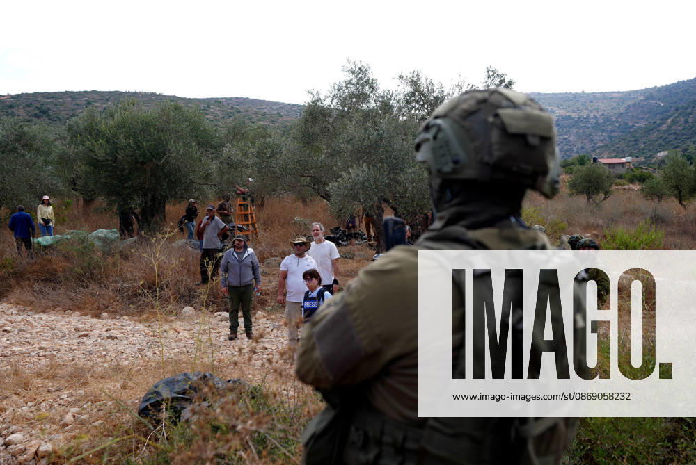 Clashes erupt between Israeli settlers and Palestinian farmers in West Bank RAMALLAH, WEST BANK - OCTOBER 9: Clashes break out between Israeli settlers, accompanied by Israeli soldiers, and Palestinian farmers harvesting olives in the town of Deir Ibzi, near Ramallah in West Bank, on October 9, 2026. The incident reportedly involved damage to olive crops and provocative actions by the settlers. Issam Rimawi Anadolu West Bank Palestine. Editorial use only. Please get in touch for any other usage.