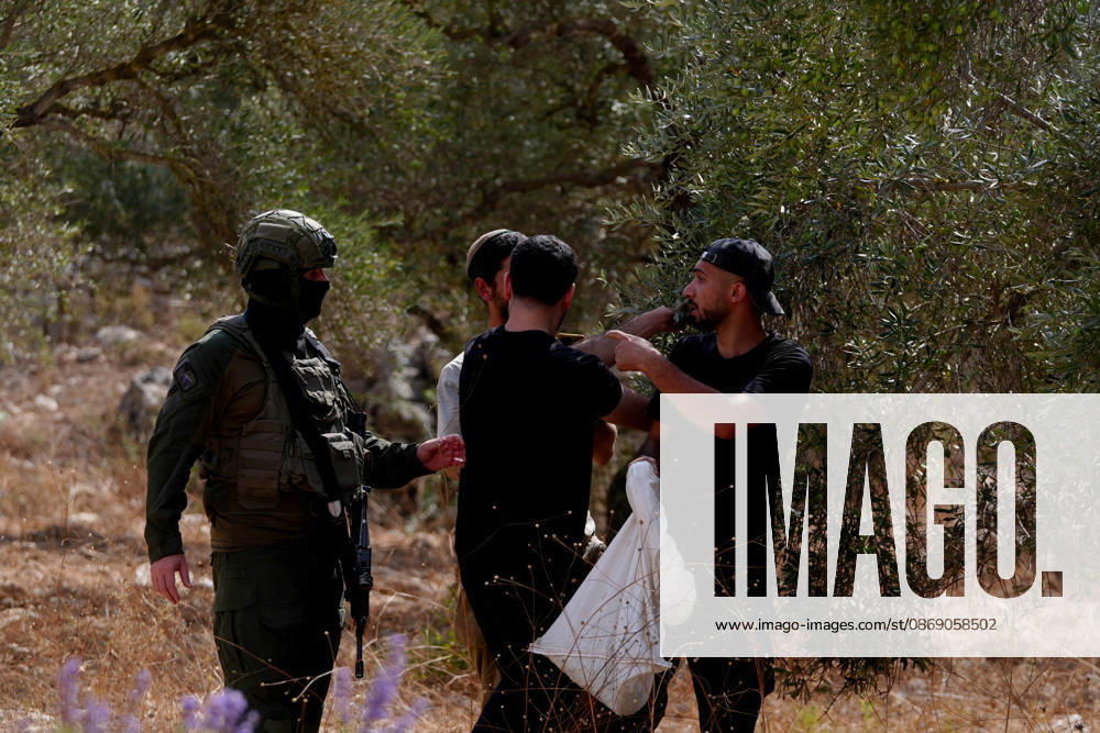 Clashes erupt between Israeli settlers and Palestinian farmers in West Bank RAMALLAH, WEST BANK - OCTOBER 9: Clashes break out between Israeli settlers, accompanied by Israeli soldiers, and Palestinian farmers harvesting olives in the town of Deir Ibzi, near Ramallah in West Bank, on October 9, 2026. The incident reportedly involved damage to olive crops and provocative actions by the settlers. Issam Rimawi Anadolu West Bank Palestine. Editorial use only. Please get in touch for any other usage.