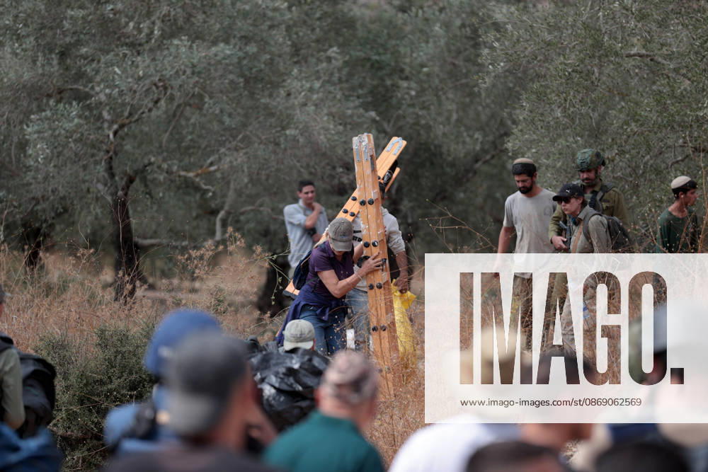 Clashes erupt between Israeli settlers and Palestinian farmers in West Bank RAMALLAH, WEST BANK - OCTOBER 9: Clashes break out between Israeli settlers, accompanied by Israeli soldiers, and Palestinian farmers harvesting olives in the town of Deir Ibzi, near Ramallah in West Bank, on October 9, 2026. The incident reportedly involved damage to olive crops and provocative actions by the settlers. Issam Rimawi Anadolu Ramallah West Bank. Editorial use only. Please get in touch for any other usage.