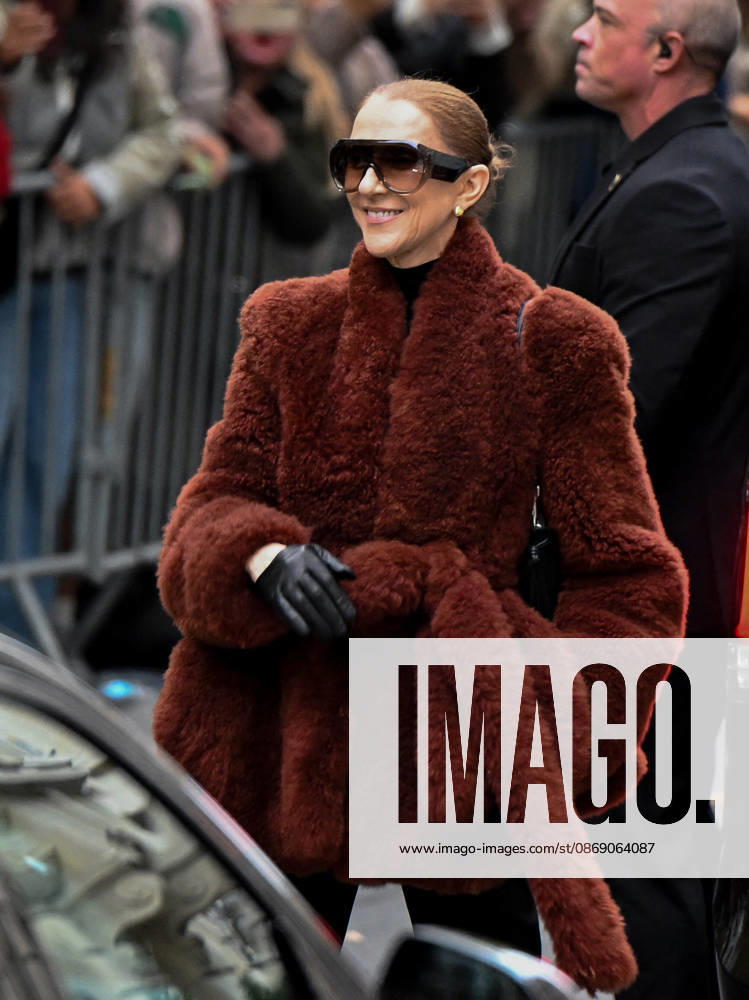 Celine Dion Leaves Her Hotel - Paris Celine Dion spend time with fans before going to the venue, at the Hotel Royal Monceau in Paris, France, on October 9, 2026. Photo by Lionel Urman ABACAPRESS.COM Paris France
