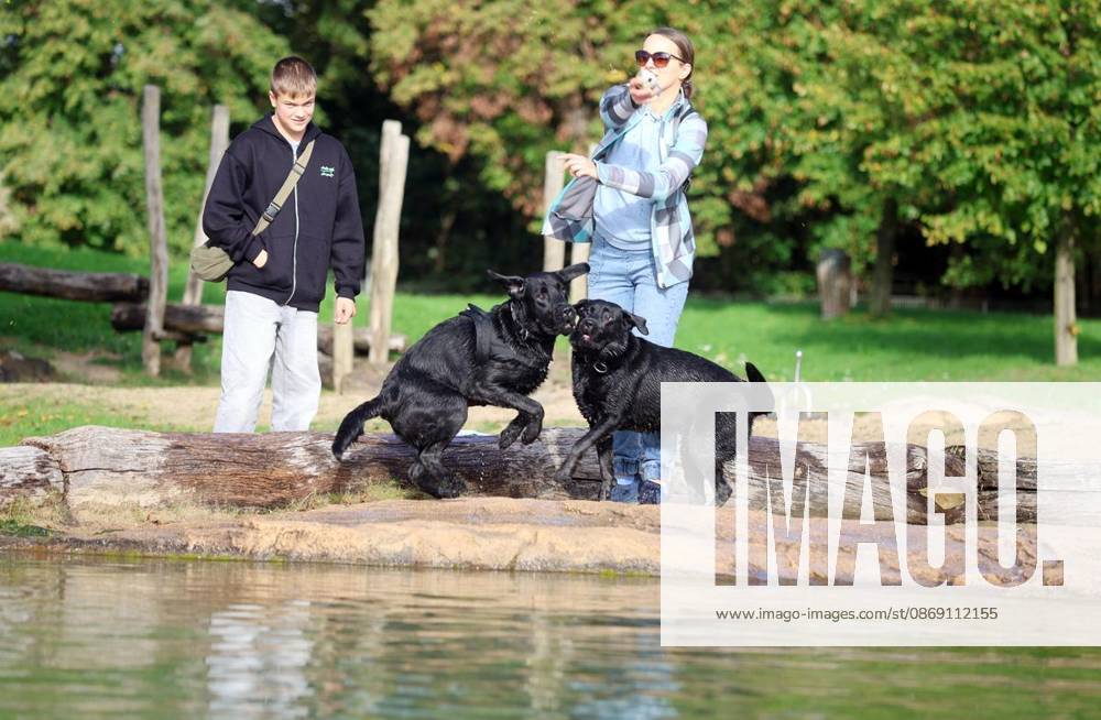 Hundeschwimmen zum Saisonende im Naturbad Styrum in Mülheim am Samstag, den 10. Oktober 2026 Deutschland NRW Mülheim