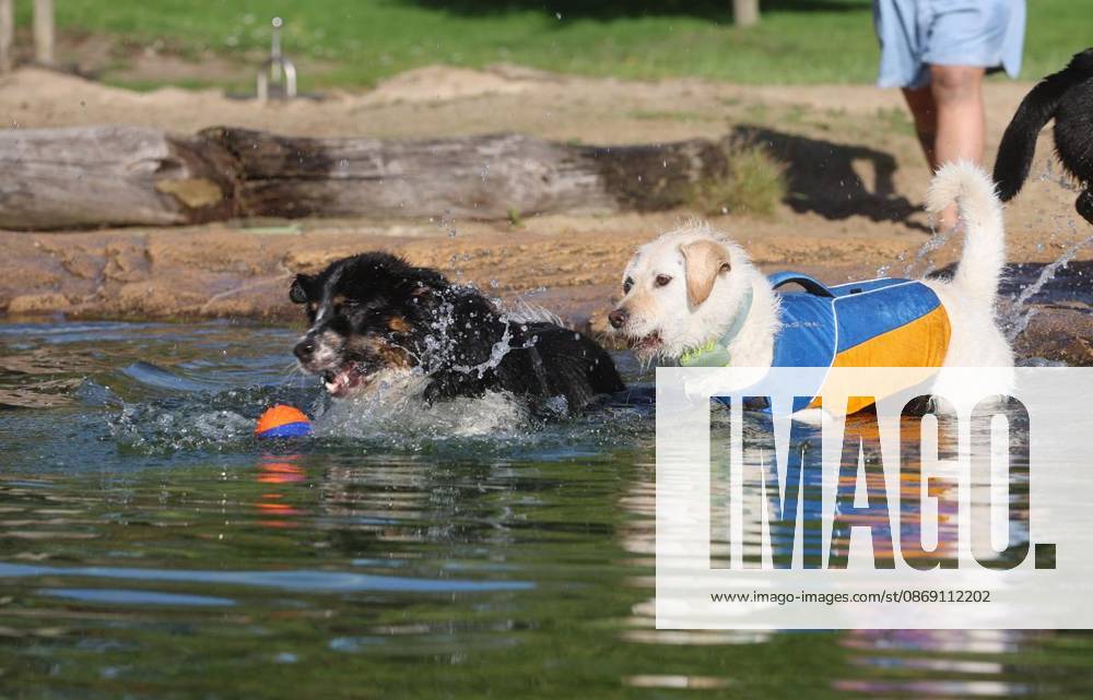 Hundeschwimmen zum Saisonende im Naturbad Styrum in Mülheim am Samstag, den 10. Oktober 2026 Deutschland NRW Mülheim