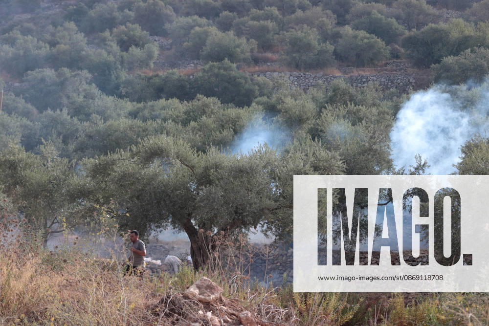 Israeli settlers attack Palestinians harvesting olives in West Bank RAMALLAH, PALESTINE - OCTOBER 10: Israeli settlers attack Palestinians harvesting olives in the village of Deir Abu Mashal, northwest of Ramallah in the West Bank, Palestine, on October 10, 2026. Israeli forces arriving at the scene intervene against Palestinians with tear gas, preventing them from continuing the olive harvest. Issam Rimawi Anadolu Ramallah West Bank. Editorial use only. Please get in touch for any other usage.
