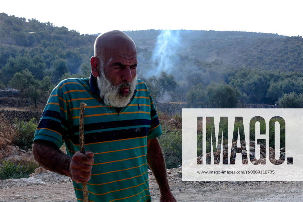 Israeli settlers attack Palestinians harvesting olives in West Bank RAMALLAH, PALESTINE - OCTOBER 10: Israeli settlers attack Palestinians harvesting olives in the village of Deir Abu Mashal, northwest of Ramallah in the West Bank, Palestine, on October 10, 2026. Israeli forces arriving at the scene intervene against Palestinians with tear gas, preventing them from continuing the olive harvest. Issam Rimawi Anadolu Ramallah West Bank. Editorial use only. Please get in touch for any other usage.