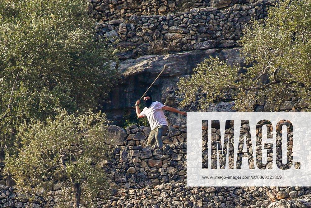 DEIR ABU MASHÃ¢â‚¬â ¢AL, PALESTINE Ã¢â‚¬ OCTOBER 10, 2026: Palestinian farmers came under attack by Israeli settlers and Israeli forces as they headed to harvest olives on their land in Deir Abu MashÃ¢â‚¬â ¢al, northwest of Ramallah. The event marked the villageÃ¢â‚¬â ¢s first olive harvest gathering of the new season. The Palestine Red Crescent Society reported that its teams treated nine people injured during the incident. The injuries included one caused by live ammunition to the thigh, two caused by rubber-coated metal bullets, and six resulting from physical assault. One of those struck by a rubber-coated metal bullet was photojournalist Issam Al-Rimawi. The incident occurred during the annual olive harve - ZUMAq101 20261010_zna_q101_073
