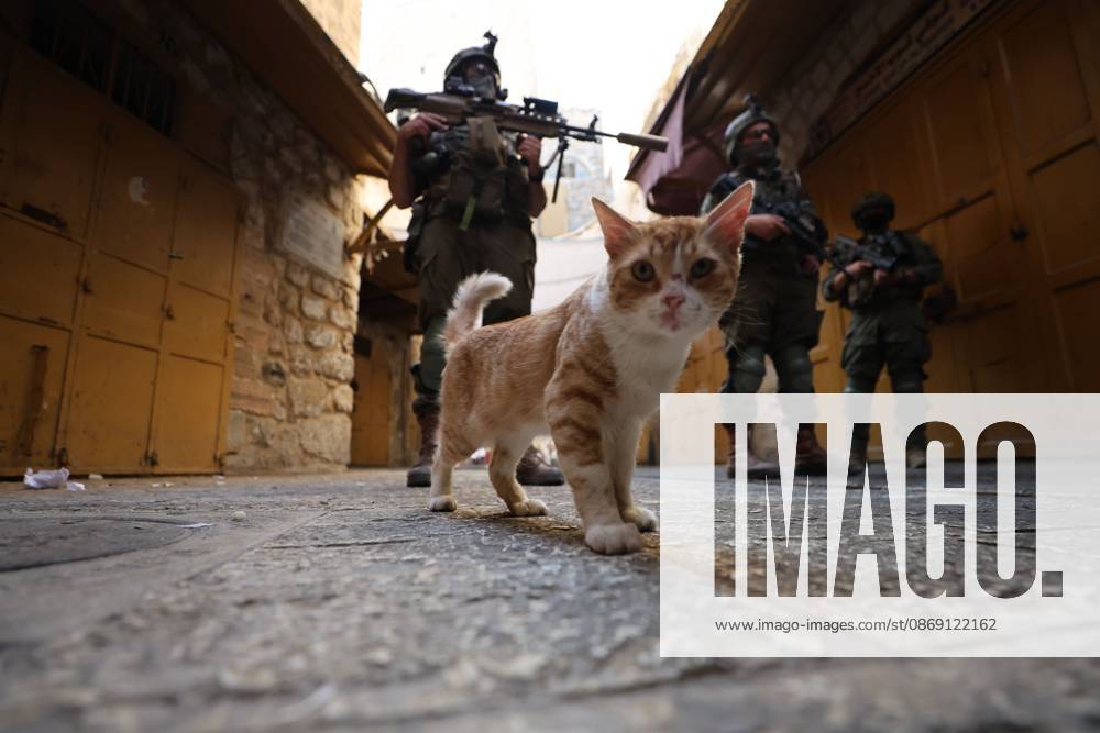 Israeli settlers enter Hebron Old City under military protection HEBRON, OCCUPIED WEST BANK, OCTOBER 10, 2026: Israeli settlers enter Hebron s Old City under the protection of Israeli forces during an organized visit to the area. Israeli soldiers deployed along streets and around the group as settlers moved through the Old City, where Israeli settlers and Palestinian residents live in close proximity amid longstanding tensions and movement restrictions. HEBRON Palestine, State of