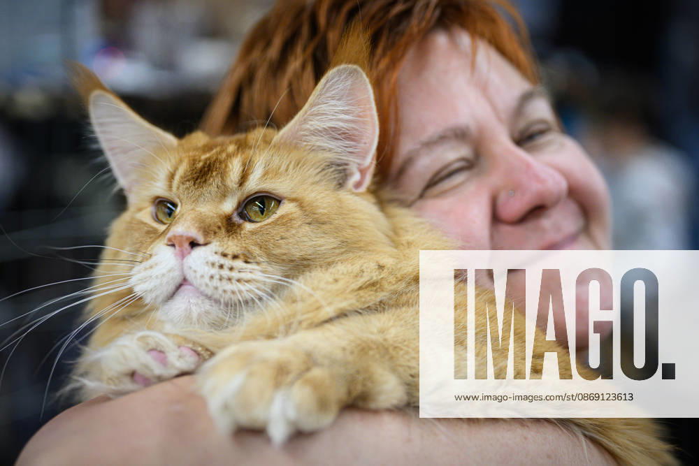 2026 WCF Jubilee Cat Show - Day 1 Owner holds her cat during the day one of 2026 WCF Jubilee Cat Show in Zagreb, Croatia on October 10, 2026. DavorxPuklavec PIXSELL
