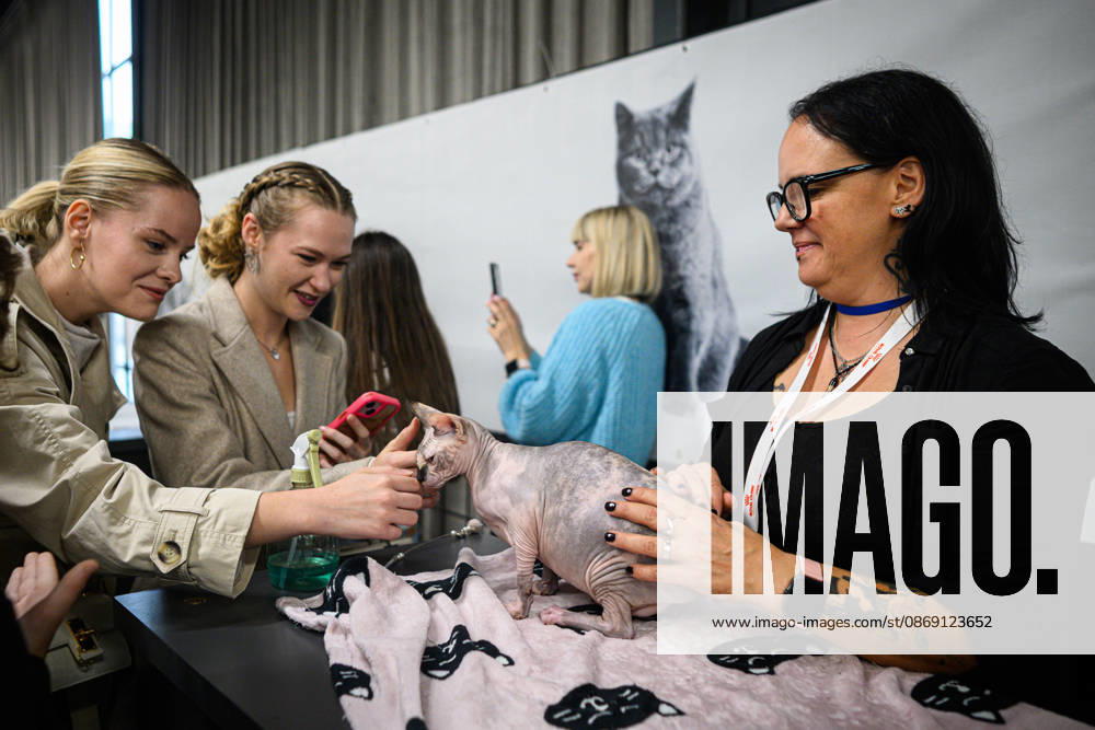 2026 WCF Jubilee Cat Show - Day 1 Owner holds her cat during the day one of 2026 WCF Jubilee Cat Show in Zagreb, Croatia on October 10, 2026. DavorxPuklavec PIXSELL