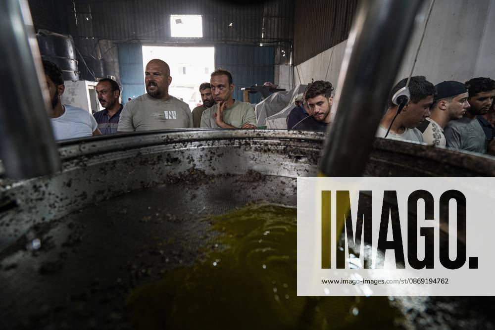 Olive harvest in Gaza despite destruction and access restrictions GAZA STRIP, GAZA, PALESTINE - OCTOBER 11: Olive oil flows during the production process at an olive press facility west of Al-Zawayda in the Gaza Strip, Gaza, Palestine, on October 11, 2026. Palestinian farmers harvest olives from the few trees left standing after Israeli attacks caused extensive damage to agricultural land across the territory, while access to fields in areas designated as the Yellow Line remains restricted. Adam Bilal Anadolu Gaza Gaza. Editorial use only. Please get in touch for any other usage.