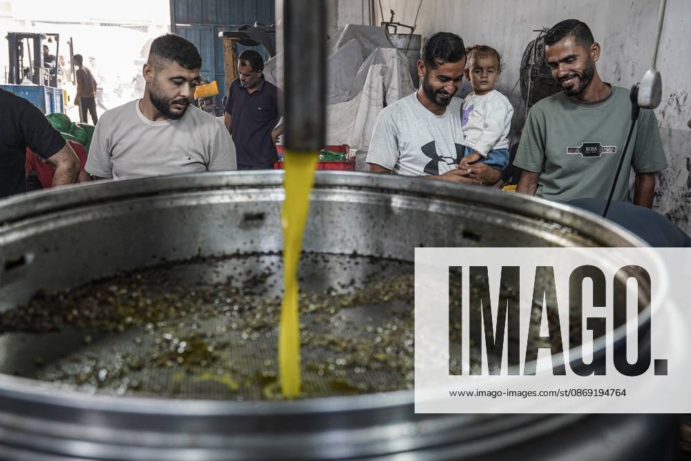 Olive harvest in Gaza despite destruction and access restrictions GAZA STRIP, GAZA, PALESTINE - OCTOBER 11: Olive oil flows during the production process at an olive press facility west of Al-Zawayda in the Gaza Strip, Gaza, Palestine, on October 11, 2026. Palestinian farmers harvest olives from the few trees left standing after Israeli attacks caused extensive damage to agricultural land across the territory, while access to fields in areas designated as the Yellow Line remains restricted. Adam Bilal Anadolu Gaza Gaza. Editorial use only. Please get in touch for any other usage.