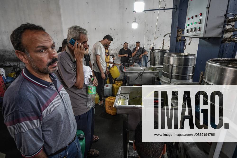 Olive harvest in Gaza despite destruction and access restrictions GAZA STRIP, GAZA, PALESTINE - OCTOBER 11: People work at an olive press facility west of Al-Zawayda as olive oil production continues in the Gaza Strip, Palestine, on October 11, 2026. Palestinian farmers harvest olives from the few trees left standing after Israeli attacks caused extensive damage to agricultural land across the territory, while access to fields in areas designated as the Yellow Line remains restricted. Adam Bilal Anadolu Gaza Gaza. Editorial use only. Please get in touch for any other usage.