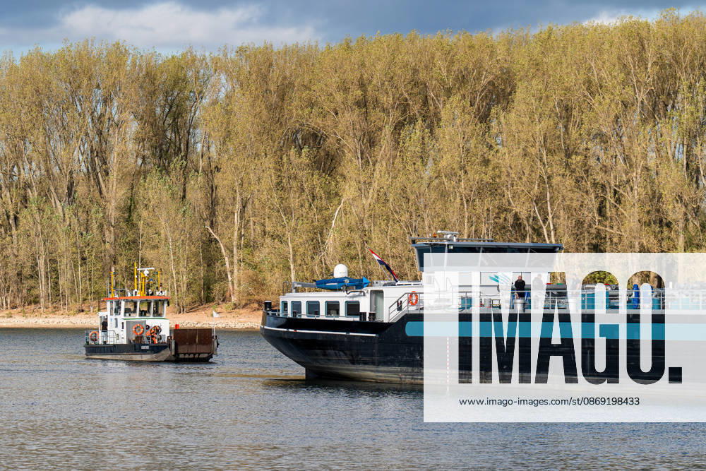 Havarierter Tanker mit 250 Tonnen Wasserstoff frei vierte Festfahrung auf dem Rhein Begleitung durch WSA und Wasserschutzpolizei Am 11.10.2026 gegen 07:00 Uhr fuhr sich ein Tankmotorschiff auf dem Rhein bei Ludwigshöhe in Höhe von Rheinkilometer 474,00 fest. Das Schiff war mit 250 Tonnen Wasserstoff beladen, auf Talfahrt und kam an der linksrheinischen Seite der Fahrrinne fest. Es war die vierte Festfahrung von Großfahrzeugen in diesem Bereich seit dem Vormittag des 10.10.2026. Im Laufe des Nachmittags befreite sich das Schiff, fuhr zunächst weiter nach Nierstein, wendete dort und fuhr zurück, begleitet von einem Arbeitsschiff des WSA Rhein und der Wasserschutzpolizei. Nierstein BWS Rhein Rheinland-Pfalz Deutschland