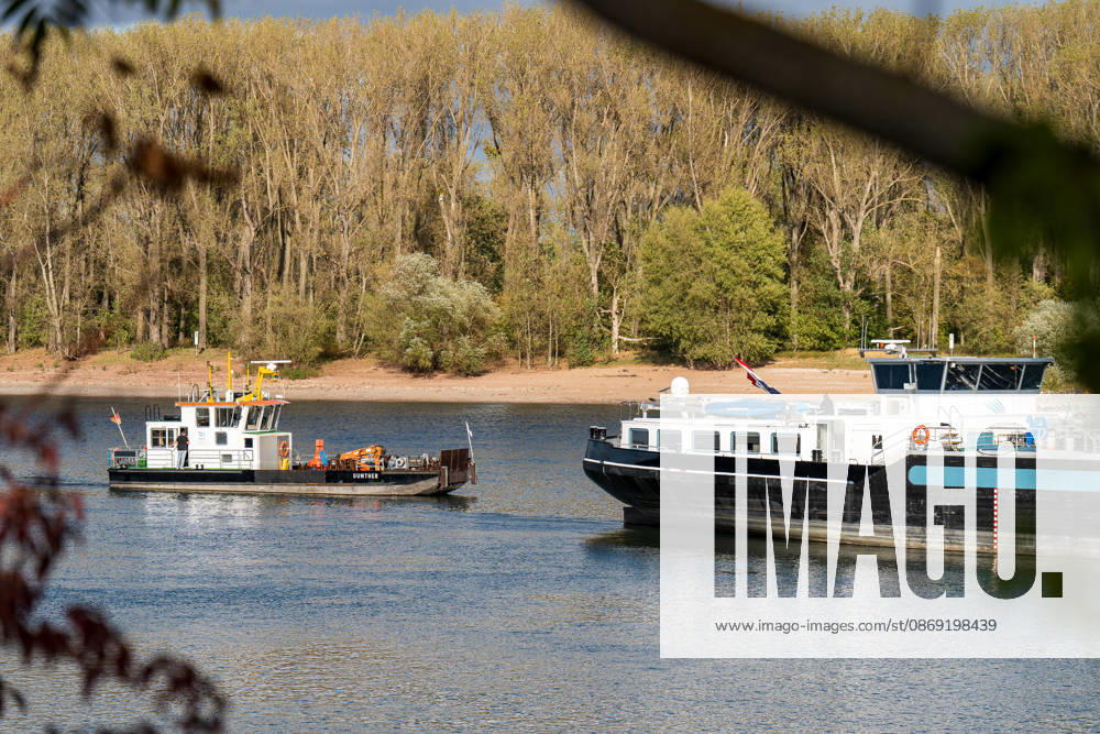 Havarierter Tanker mit 250 Tonnen Wasserstoff frei vierte Festfahrung auf dem Rhein Begleitung durch WSA und Wasserschutzpolizei Am 11.10.2026 gegen 07:00 Uhr fuhr sich ein Tankmotorschiff auf dem Rhein bei Ludwigshöhe in Höhe von Rheinkilometer 474,00 fest. Das Schiff war mit 250 Tonnen Wasserstoff beladen, auf Talfahrt und kam an der linksrheinischen Seite der Fahrrinne fest. Es war die vierte Festfahrung von Großfahrzeugen in diesem Bereich seit dem Vormittag des 10.10.2026. Im Laufe des Nachmittags befreite sich das Schiff, fuhr zunächst weiter nach Nierstein, wendete dort und fuhr zurück, begleitet von einem Arbeitsschiff des WSA Rhein und der Wasserschutzpolizei. Nierstein BWS Rhein Rheinland-Pfalz Deutschland