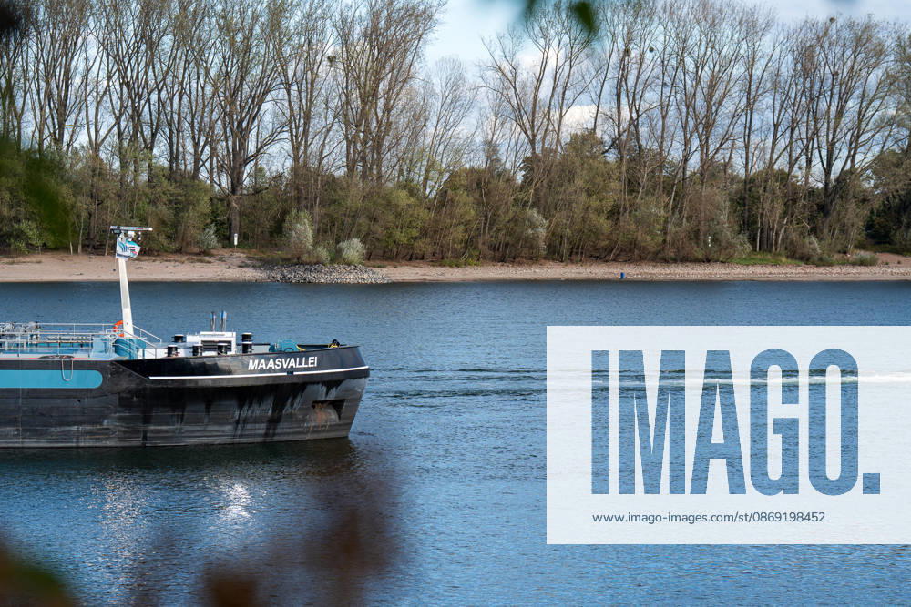 Havarierter Tanker mit 250 Tonnen Wasserstoff frei vierte Festfahrung auf dem Rhein Begleitung durch WSA und Wasserschutzpolizei Am 11.10.2026 gegen 07:00 Uhr fuhr sich ein Tankmotorschiff auf dem Rhein bei Ludwigshöhe in Höhe von Rheinkilometer 474,00 fest. Das Schiff war mit 250 Tonnen Wasserstoff beladen, auf Talfahrt und kam an der linksrheinischen Seite der Fahrrinne fest. Es war die vierte Festfahrung von Großfahrzeugen in diesem Bereich seit dem Vormittag des 10.10.2026. Im Laufe des Nachmittags befreite sich das Schiff, fuhr zunächst weiter nach Nierstein, wendete dort und fuhr zurück, begleitet von einem Arbeitsschiff des WSA Rhein und der Wasserschutzpolizei. Nierstein BWS Rhein Rheinland-Pfalz Deutschland