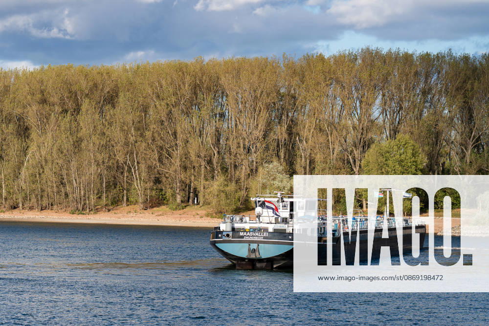 Havarierter Tanker mit 250 Tonnen Wasserstoff frei vierte Festfahrung auf dem Rhein Begleitung durch WSA und Wasserschutzpolizei Am 11.10.2026 gegen 07:00 Uhr fuhr sich ein Tankmotorschiff auf dem Rhein bei Ludwigshöhe in Höhe von Rheinkilometer 474,00 fest. Das Schiff war mit 250 Tonnen Wasserstoff beladen, auf Talfahrt und kam an der linksrheinischen Seite der Fahrrinne fest. Es war die vierte Festfahrung von Großfahrzeugen in diesem Bereich seit dem Vormittag des 10.10.2026. Im Laufe des Nachmittags befreite sich das Schiff, fuhr zunächst weiter nach Nierstein, wendete dort und fuhr zurück, begleitet von einem Arbeitsschiff des WSA Rhein und der Wasserschutzpolizei. Nierstein BWS Rhein Rheinland-Pfalz Deutschland