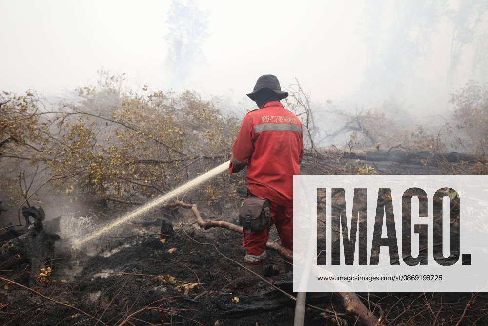PALANGKA RAYA, CENTRAL KALIMANTAN, INDONESIA, OCTOBER 11, 2026: Members of Indonesia s Manggala Agni forest fire brigade work to extinguish a forest fire in the Sebangau area of Palangka Raya, Central Kalimantan. The firefighting team has been responding to fires affecting forests and community land in the region during the dry season. Kalimantan Indonesia - ZUMAq101 20261011_zna_q101_118