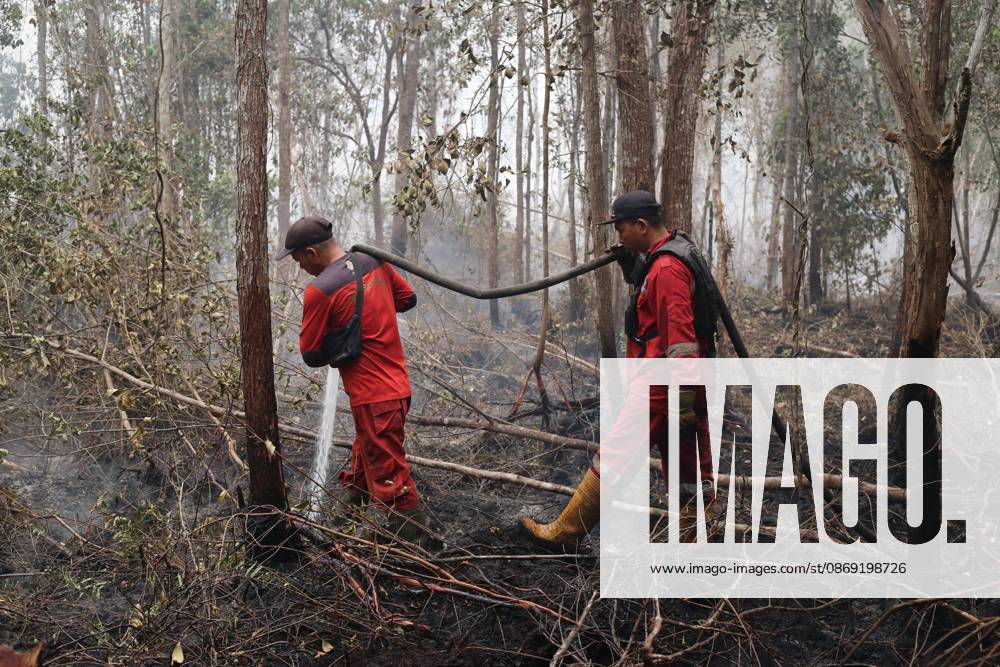 PALANGKA RAYA, CENTRAL KALIMANTAN, INDONESIA, OCTOBER 11, 2026: Members of Indonesia s Manggala Agni forest fire brigade work to extinguish a forest fire in the Sebangau area of Palangka Raya, Central Kalimantan. The firefighting team has been responding to fires affecting forests and community land in the region during the dry season. Kalimantan Indonesia - ZUMAq101 20261011_zna_q101_119