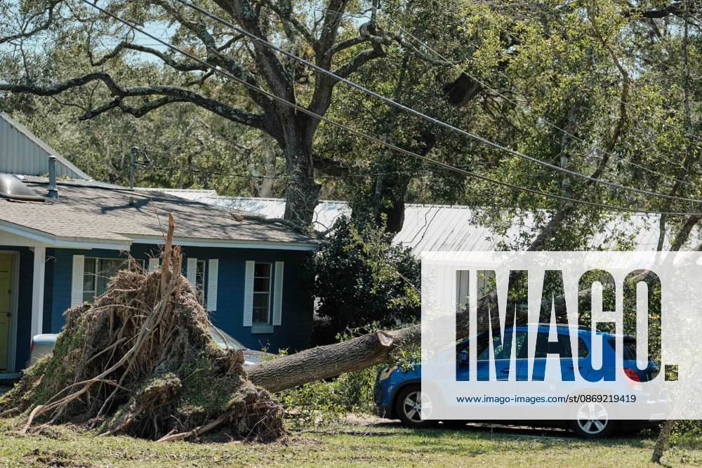 Pensacola, Florida, U.S: October 11, 2026 Pensacola, Florida USA: A fallen over tree sits on top of a car after the arrival of Hurricane Isaias. Pensacola U.S - ZUMAa14_ 20261011_zaf_a14_013