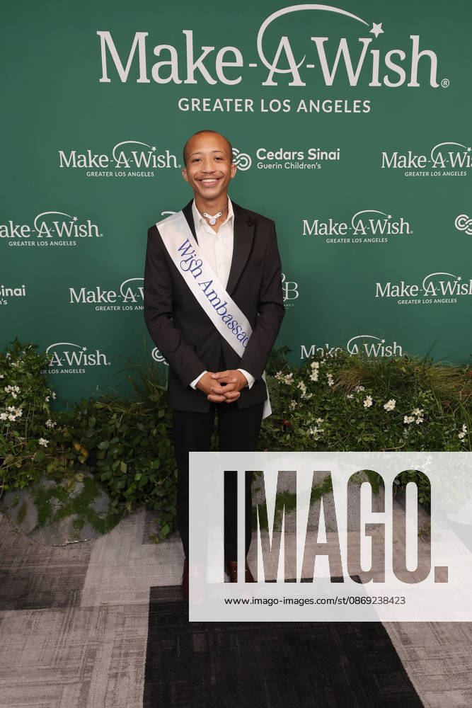 filenamebase:0,-5} at 2026 Los Angeles Make A Wish Foundation Gala at Fairmont Century Plaza Hotel Century City USA - ZUMAg107 20261011_zep_g107_045