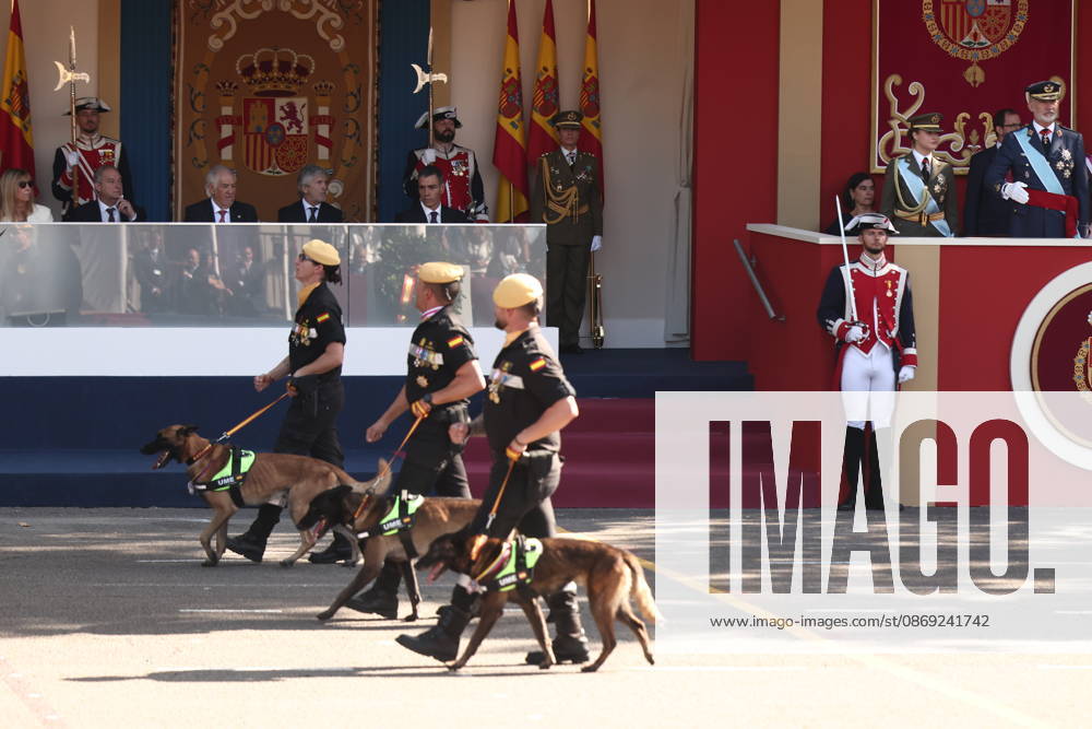 October 12 Parade for Hispanic Heritage Day Members of the State Security Forces during the solemn ceremony honoring the national flag and the military parade on October 12, Hispanic Heritage Day, in the Plaza de Cánovas del Castillo, on October 12, 2026, in Madrid, Spain. The events begin with the raising of the flag and are followed by a tribute to those who gave their lives for the country. Subsequently, the military air and ground parades begin. Approximately 4,400 members of the Armed Forces, the security forces, and various civilian public institutions are participating this year in the parade presided over by the King and Queen. The aerial parade featured 50 fighter, training, and transport aircraft, as well as around 30 helicopters
