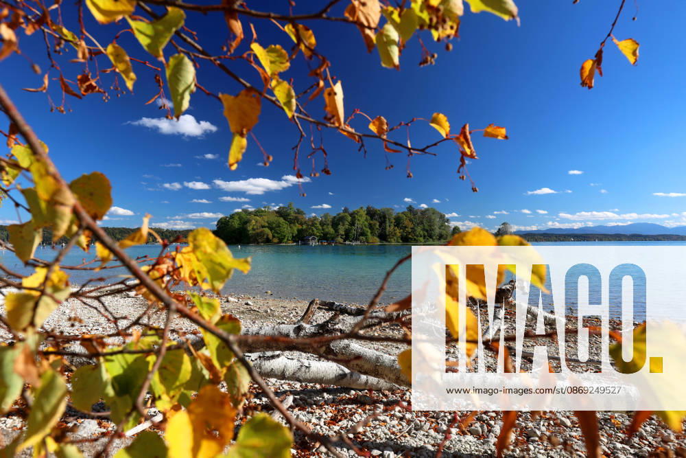 Ein Herbsttag in Feldafing, Feldafinger Park (Landkreis Starnberg). Hier der Blick auf den Starnberger See mit der Roseninsel und gefärbte Bäume, Laubfärbung, Laubbaum, herbstlich, Farbenspiel, Herbstlaub, Herbstfärbung, Blattfärbung, rot, gelb, rotes Laub, gelbes Laub, Naturschauspiel ,Herbstbild, Herbstimpression, Wetterbild ,goldener Oktober