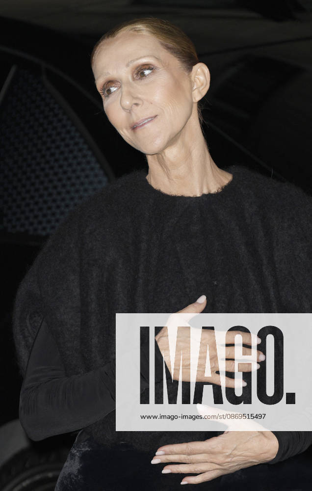 Céline Dion greets her fans as she arrives at the Royal Monceau hotel in Paris after her concert at the Plénitude Arena in Paris La Défense on October 14, 2026. Christophe Aubert, Bestimage. Céline Dion greets her fans as she arrives at the Royal Monceau hotel in Paris after her concert at the Plénitude Arena in Paris La Défense on October 14, 2026, Paris, France