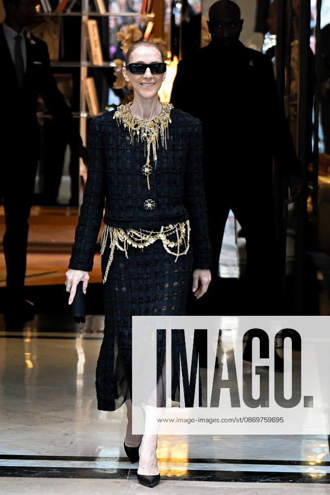 Céline Dion spends time with her fans outside her hotel in Paris. Céline Dion spends time with fans before heading to the venue, the Royal Monceau Hotel in Paris, France 460538 2026 10 17 Paris France Dion, Céline