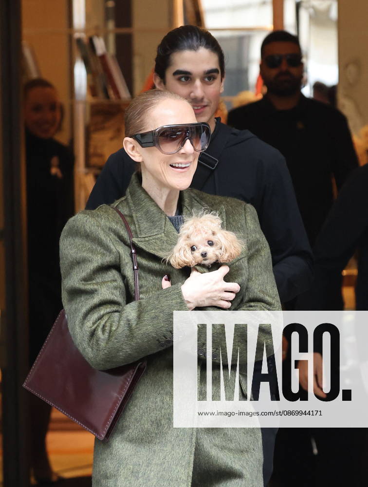 Céline Dion leaves the Royal Monceau hotel with her sons Nelson and Eddy and her dog the day after her final concert in Paris on October 19, 2026. Cyril Moreau, Bestimage. Céline Dion leaves the Royal Monceau hotel with her sons Nelson and Eddy and her dog, the day after her final concert in Paris on October 19, 2026, Paris, France