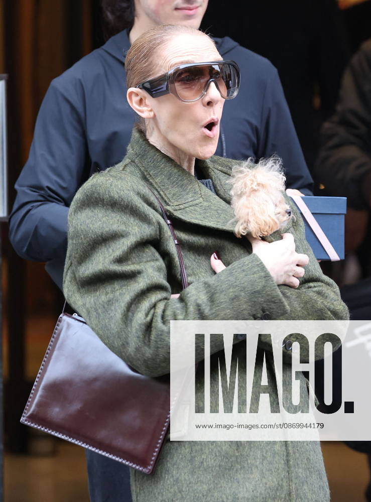 Céline Dion leaves the Royal Monceau hotel with her sons Nelson and Eddy and her dog the day after her final concert in Paris on October 19, 2026. Cyril Moreau, Bestimage. Céline Dion leaves the Royal Monceau hotel with her sons Nelson and Eddy and her dog, the day after her final concert in Paris on October 19, 2026, Paris, France