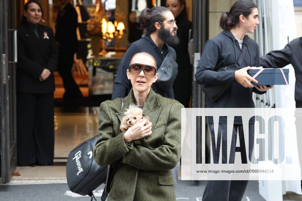 Céline Dion leaves the Royal Monceau hotel with her sons Nelson and Eddy and her dog the day after her final concert in Paris on October 19, 2026. Cyril Moreau, Bestimage. Céline Dion leaves the Royal Monceau hotel with her sons Nelson and Eddy and her dog, the day after her final concert in Paris on October 19, 2026, Paris, France