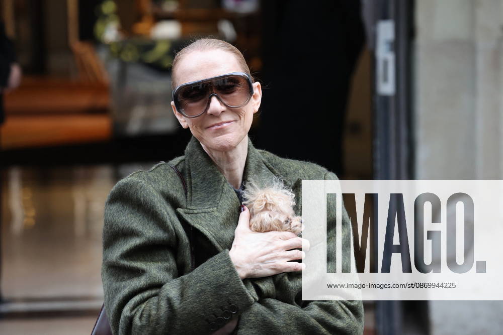 Céline Dion leaves the Royal Monceau hotel with her sons Nelson and Eddy and her dog the day after her final concert in Paris on October 19, 2026. Cyril Moreau, Bestimage. Céline Dion leaves the Royal Monceau hotel with her sons Nelson and Eddy and her dog, the day after her final concert in Paris on October 19, 2026, Paris, France
