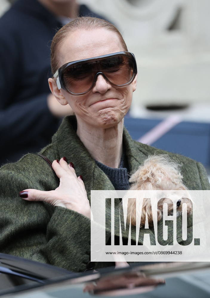 Céline Dion leaves the Royal Monceau hotel with her sons Nelson and Eddy and her dog the day after her final concert in Paris on October 19, 2026. Cyril Moreau, Bestimage. Céline Dion leaves the Royal Monceau hotel with her sons Nelson and Eddy and her dog, the day after her final concert in Paris on October 19, 2026, Paris, France