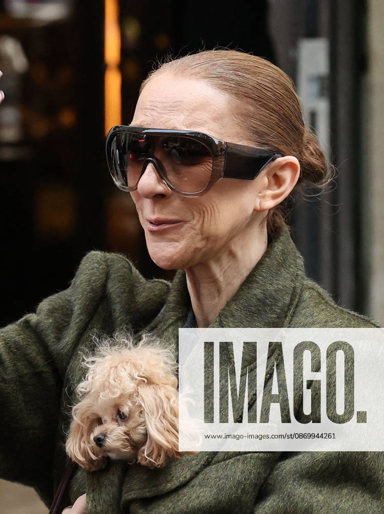 Céline Dion leaves the Royal Monceau hotel with her sons Nelson and Eddy and her dog the day after her final concert in Paris on October 19, 2026. Cyril Moreau, Bestimage. Céline Dion leaves the Royal Monceau hotel with her sons Nelson and Eddy and her dog, the day after her final concert in Paris on October 19, 2026, Paris, France