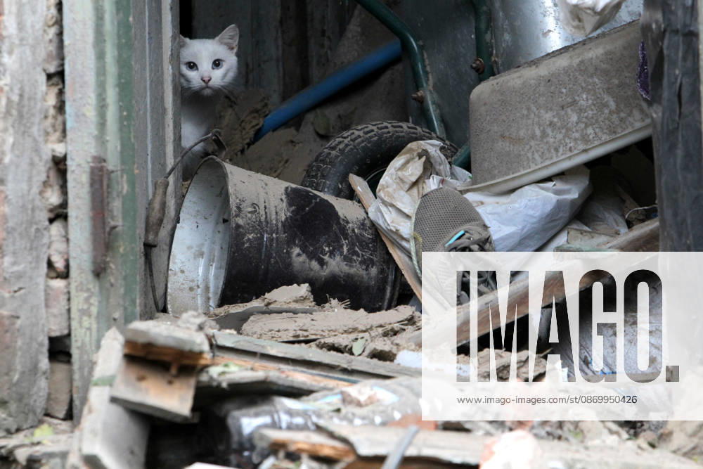 A white cat peeks out from behind a door in a building damaged by a Russian bombardment in Dnipro, Ukraine, October 19, 2026. On Monday morning, Russian forces launched guided aerial bombs at the eastern city, damaging private homes and infrastructure. An 84-year-old woman was hospitalised in moderate condition. (Photo by Mykola Miakshykov Ukrinform) Russian troops hit Dnipro with guided bombs