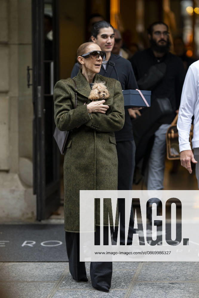 Céline Dion, accompanied by her sons Eddy and Nelson Angelil, leaves the Royal Monceau hotel for La Plenitude Arena in Paris after 16 concerts over five weeks in front of nearly 500,000 people, on October 19, 2026. Holding her dog, Madison, in her arms, the Canadian singer waved one last time to her fans gathered in front of the hotel. She will return to the Paris La Défense Arena for 10 special concerts from May 8 to 29, 2027. Pierre Perusseau Bestimage Céline Dion, accompanied by her sons Eddy and Nelson Angelil, leaves the Royal Monceau luxury hotel in Paris on October 19, 2026, following 16 concerts over five weeks performed before nearly 500,000 people. Holding her dog, Madison, in her arms, the Canadian singer waved one last time to