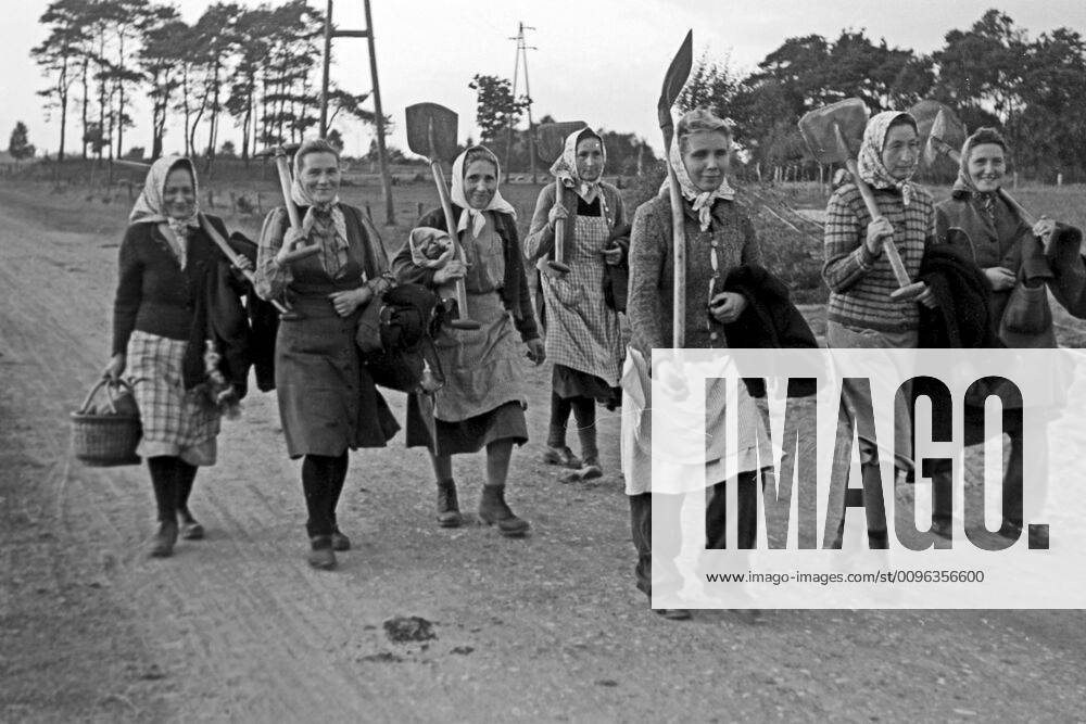 Umsiedler im Emsland Wiederaufbau im Emsland, 1945-1949. Reconstruction works in Ems region, 1945-49., Deutschland