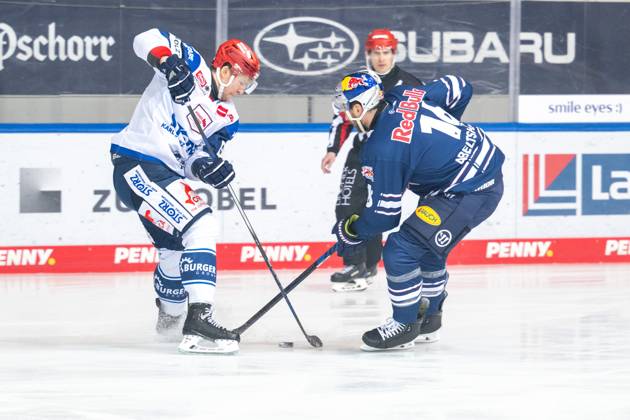 Alexander Karachun 47 (Schwenninger Wild Wings), Konrad Abeltshauser 16 (EHC Red Bull Muenchen) im Zweikampf, EHC Red Bull Muenchen vs. Schwenninger Wild Wings, Eishockey, PENNY DEL, Hauptrunde, 45. Spieltag, 15.02.2024 Muenchen Bayern Deutschland