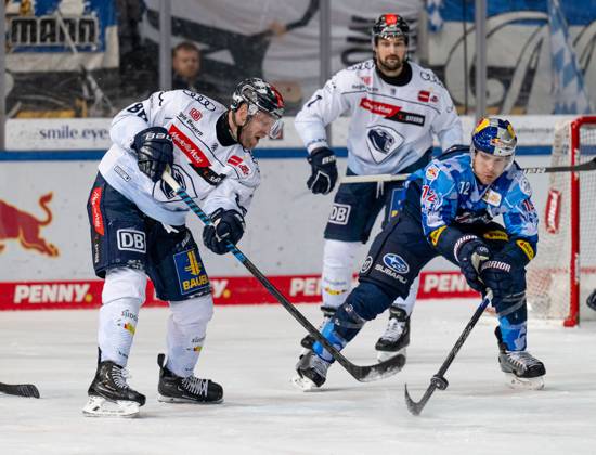 Kampf um den Puck Zweikampf zwischen Daniel Pietta (ERC Ingolstadt Panther, 86) und Ben Smith (EHC Red Bull Muenchen, 12). EHC Red Bull Muenchen gegen ERC Ingolstadt, Eishockey, DEL, 48. Spieltag, Saison 2023 2024, 23.02.2024. EHC Red Bull Muenchen gegen ERC Ingolstadt, Eishockey, DEL, 48. Spieltag, Saison 2023 2024, 23.02.2024. Muenchen Copyright: xEibner-Pressefoto HeikexFeinerx EP_HFR