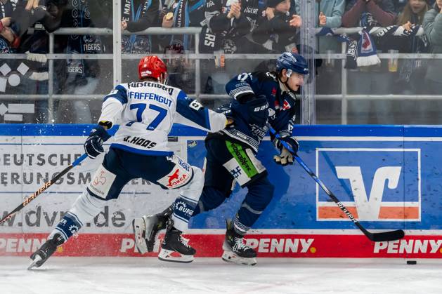 Kampf um den Puck Zweikampf zwischen Daniel Pfaffengut (Schwenninger Wild Wings, 77) und Adrian Klein (Straubing Tigers, 17). Straubing Tigers gegen Schwenninger Wild Wings, Eishockey, DEL, Playoffs Viertelfinale Spiel 1, Saison 2023 2024, 16.03.2024. Straubing Tigers gegen Schwenninger Wild Wings, Eishockey, DEL, Playoffs Viertelfinale Spiel 1, Saison 2023 2024, 16.03.2024. Straubing Copyright: xEibner-Pressefoto HarryxSchindlerx EP_EER