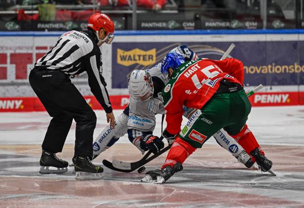 Linesperson David Tschirner fuehrt ein Bully aus zwischen Eric Cornel (Iserlohn Roosters, 18) und Jason Bast (Augsburger Panther, 45). GER, Augsburger Panther gegen Iserlohn Roosters, Eishockey, DEL, 5. Spieltag, Saison 2024 2025, 02.10.2024. GER, Augsburger Panther gegen Iserlohn Roosters, Eishockey, DEL, 5. Spieltag, Saison 2024 2025, 02.10.2024. Augsburg Copyright: xEibner-Pressefoto HeikoxFeinerx EP_HFR