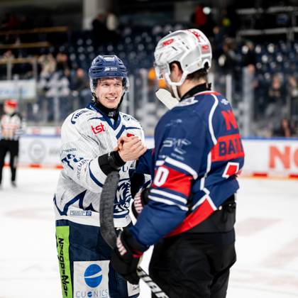 13.10.2024 - Eishockey - Saison 2024 2025 - Penny DEL - Nürnberg Ice Tigers Icetigers - Straubing Tigers - ThHa - xthxhax - Shakehands, Händeschütteln Elis Hede (75, Straubing Tigers ) Evan Barratt (10, Nürnberg Ice Tigers, NIT )