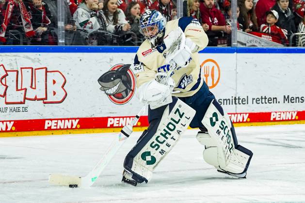 Eishockey Penny-DEL 22.Spieltag Kölner Haie - Schwenninger Wild Wings am 01.12.2024 in der Lanxess Arena in Köln Joacim Eriksson ( Schwenningen ) Gemäß den Vorgaben der DEL Deutsche Eishockey Liga ist die Publikation und Weiterverwertung der Aufnahmen in elektronischen Medien und Endgeräten aller Art während des laufenden Spiels nicht zulässig.