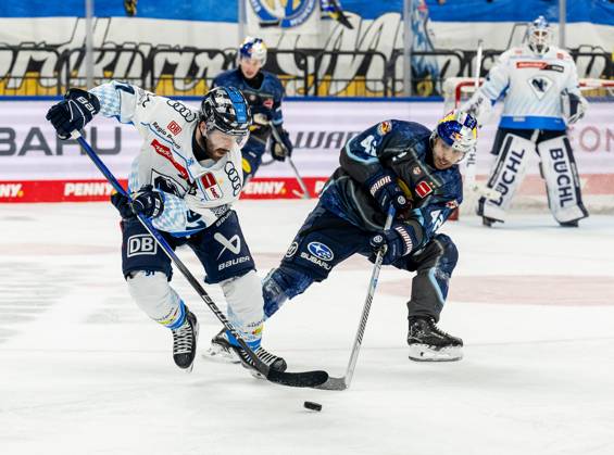 Kampf um den Puck Zweikampf zwischen Riley Sheen (ERC Ingolstadt Panther, 91) und Yasin Ehliz (EHC Red Bull Muenchen, 42). GER, EHC Red Bull Muenchen vs. ERC Ingolstadt, Eishockey, DEL, 24. Spieltag, Saison 2024 2025, 08.12.2024. GER, EHC Red Bull Muenchen vs. ERC Ingolstadt, Eishockey, DEL, 24. Spieltag, Saison 2024 2025, 08.12.2024. Muenchen Copyright: xEibner-Pressefoto HeikexFeinerx EP_HFR
