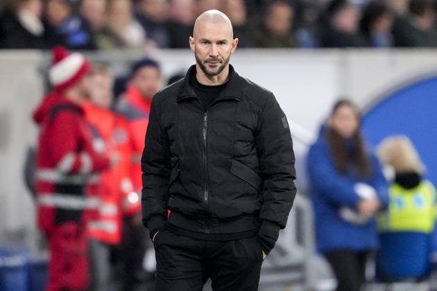 Christian Ilzer (Trainer, Cheftrainer, Hoffenheim), Einzelbild, Einzelfoto, Aktion, Action, 08.12.2024, Sinsheim (Deutschland), Fussball, Bundesliga, TSG 1899 Hoffenheim - SC Freiburg, 08.12.2024, Sinsheim (Deutschland), Fussball, Bundesliga, TSG 1899 Hoffenheim - SC Freiburg, DFB DFL REGULATIONS PROHIBIT ANY USE OF PHOTOGRAPHS AS IMAGE SEQUENCES AND OR QUASI-VIDEO.