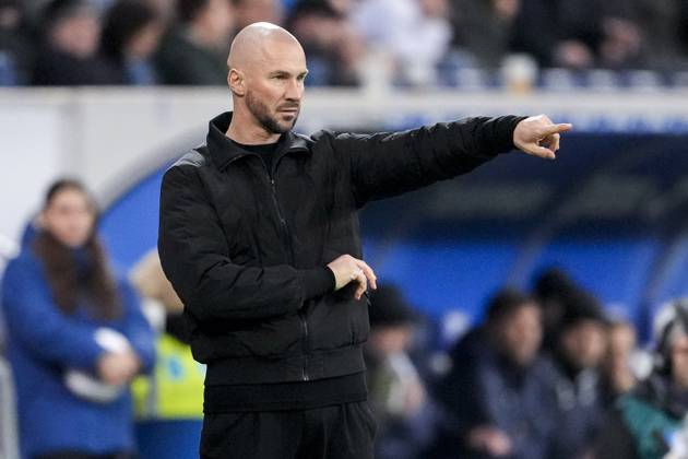 Christian Ilzer (Trainer, Cheftrainer, Hoffenheim), gibt Anweisungen, gestikuliert, mit den Armen gestikulieren, Einzelbild, Einzelfoto, Aktion, Action, 08.12.2024, Sinsheim (Deutschland), Fussball, Bundesliga, TSG 1899 Hoffenheim - SC Freiburg, 08.12.2024, Sinsheim (Deutschland), Fussball, Bundesliga, TSG 1899 Hoffenheim - SC Freiburg, DFB DFL REGULATIONS PROHIBIT ANY USE OF PHOTOGRAPHS AS IMAGE SEQUENCES AND OR QUASI-VIDEO.
