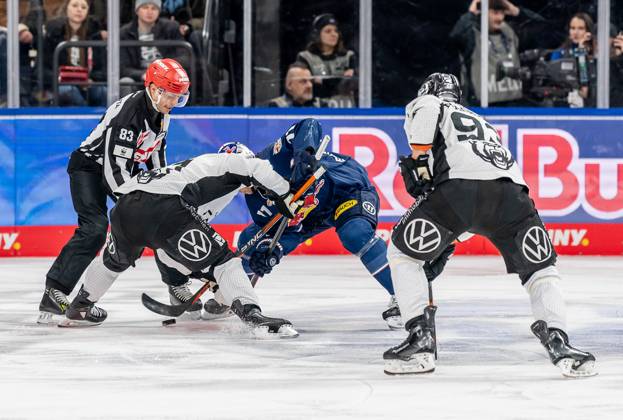 Linesperson David Tschirner fuehrt ein Bully Faceoff aus zwischen Andy Miele (Grizzlys Wolfsburg, 51) und Markus Eisenschmid (EHC Red Bull Muenchen, 11). GER, EHC Red Bull Muenchen vs. Grizzlys Wolfsburg, Eishockey, DEL, 32. Spieltag, Saison 2024 2025, 30.12.2024. GER, EHC Red Bull Muenchen vs. Grizzlys Wolfsburg, Eishockey, DEL, 32. Spieltag, Saison 2024 2025, 30.12.2024. Muenchen Copyright: xEibner-Pressefoto FranzxFeinerx EP_HFR