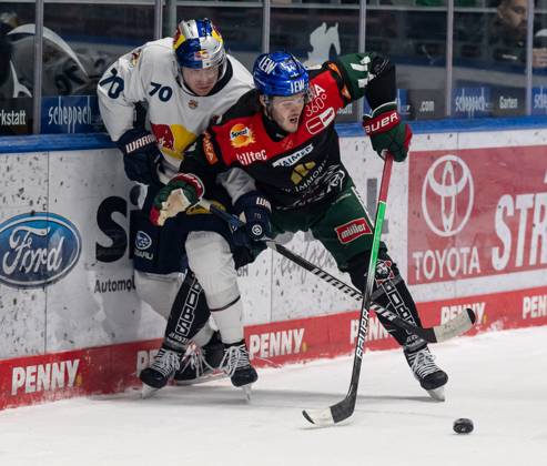 Kampf um den Puck Zweikampf zwischen Maximilian Daubner (EHC Red Bull Muenchen, 70) und D.J. Busdeker (Augsburger Panther, 14). GER, Augsburger Panther vs. EHC Red Bull Muenchen, Eishockey, DEL, 37. Spieltag, Saison 2024 2025, 16.01.2025. GER, Augsburger Panther vs. EHC Red Bull Muenchen, Eishockey, DEL, 37. Spieltag, Saison 2024 2025, 16.01.2025. Augsburg Copyright: xEibner-Pressefoto HeikexFeinerx EP_HFR
