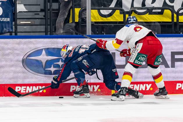 Kampf um den Puck Zweikampf zwischen Nikolaus Heigl (EHC Red Bull Muenchen, 15) und Tyler Angle (Duesseldorfer EG, 94). GER, EHC Red Bull Muenchen vs. Duesseldorfer EG, Eishockey, DEL, 38. Spieltag, Saison 2024 2025, 19.01.2025. GER, EHC Red Bull Muenchen vs. Duesseldorfer EG, Eishockey, DEL, 38. Spieltag, Saison 2024 2025, 19.01.2025. Muenchen Copyright: xEibner-Pressefoto FranzxFeinerx EP_HFR